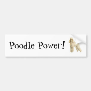 Poodle — Puppy Clip Autoaufkleber