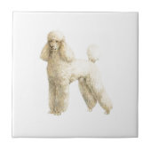 Poodle — Puppy Clip Fliese (Vorderseite)