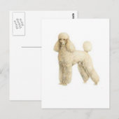 Poodle — Puppy Clip Postkarte (Vorne/Hinten)