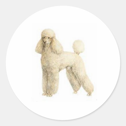 Poodle — Puppy Clip Runder Aufkleber (Vorderseite)