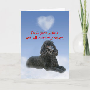 Poodle Puppy Liebe Card Feiertagskarte