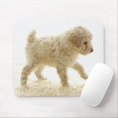 Poodle Puppy Mousepad (Mit Mouse)