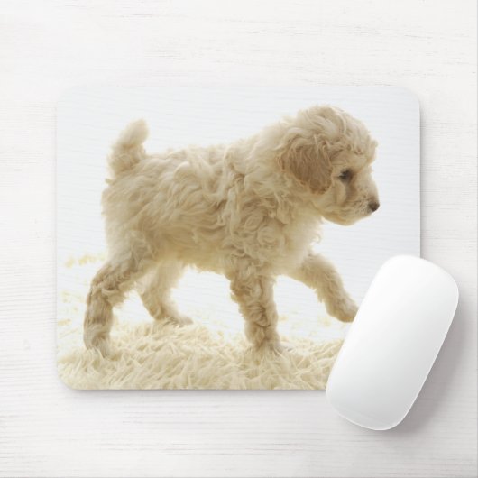 Poodle Puppy Mousepad (Mit Mouse)