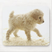 Poodle Puppy Mousepad (Vorne)