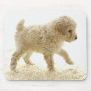 Poodle Puppy Mousepad