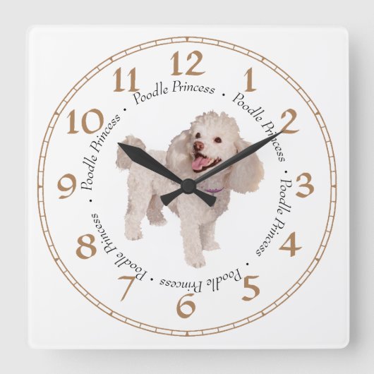 Poodle Quadratische Wanduhr (Vorderseite)
