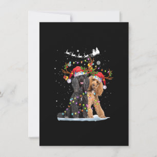 Poodle Rentier Weihnachtsmannmütze Xmas Lights Wei Einladung