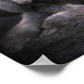 Poodle Rock Art Poster/Print Poster (Ecke)