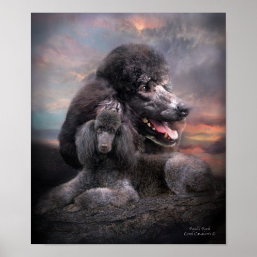 Poodle Rock Art Poster/Print Poster (Vorne)