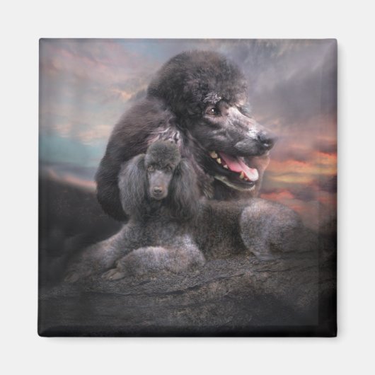 Poodle Rock Magnet (Vorne)