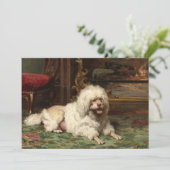 Poodle-Ruhen auf der Straße | Französische Schule (Stehend Vorderseite)