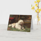 Poodle-Ruhen auf der Straße | Französische Schule Karte (Gelbe Blume)