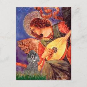 Poodle(s) - Mandolin Angel Postkarte