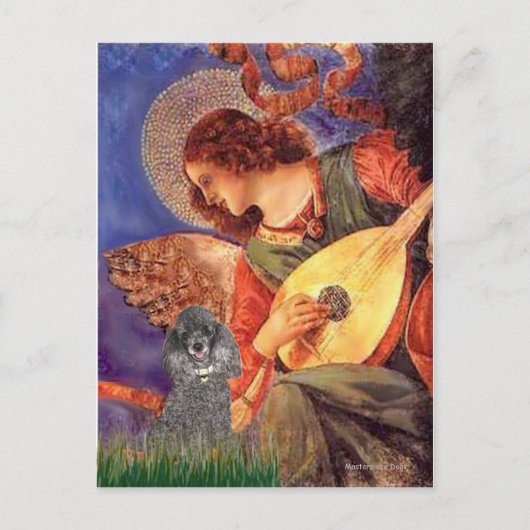 Poodle(s) - Mandolin Angel Postkarte (Vorderseite)