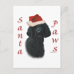 Poodle Santa Paws Feiertagspostkarte