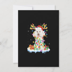 Poodle Santa Reindeer Weihnachtsfeiertag Shirt Fun Einladung
