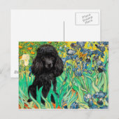 Poodle (schwarz 1) - Ire Postkarte (Vorne/Hinten)