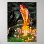 Poodle(schwarz 1)-Mitte Poster (Vorne)