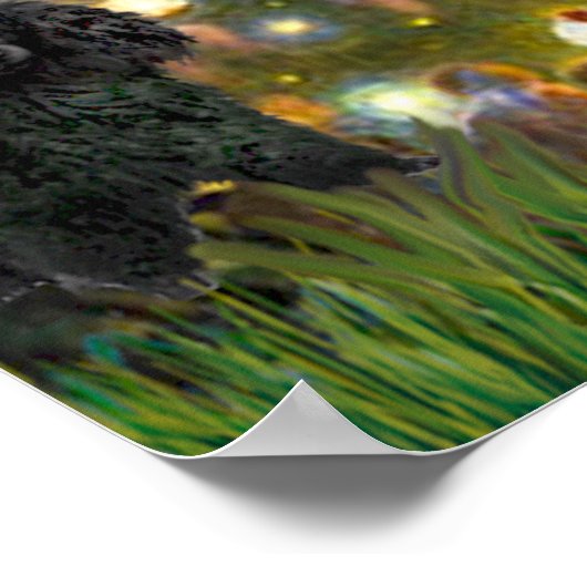 Poodle(schwarz 1)-Mitte Poster (Ecke)