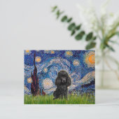 Poodle (schwarz 1) - Starry Night Postkarte (Stehend Vorderseite)