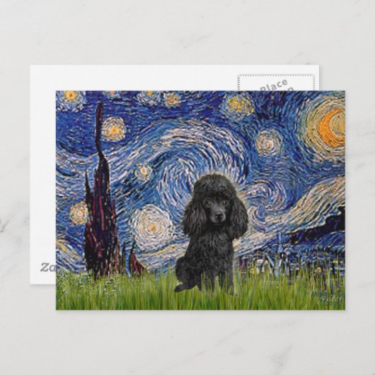 Poodle (schwarz 1) - Starry Night Postkarte (Vorne/Hinten)