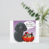 Poodle (schwarz) Halloween Candy Postkarte (Stehend Vorderseite)