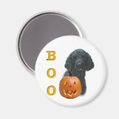 Poodle (schwarz überzogen) Boo Magnet (Vorderseite/Rückseite)