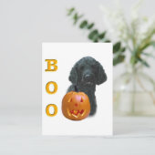 Poodle (schwarz überzogen) Boo Postkarte (Stehend Vorderseite)
