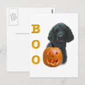 Poodle (schwarz überzogen) Boo Postkarte (Vorne/Hinten)