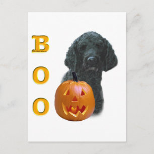 Poodle (schwarz überzogen) Boo Postkarte