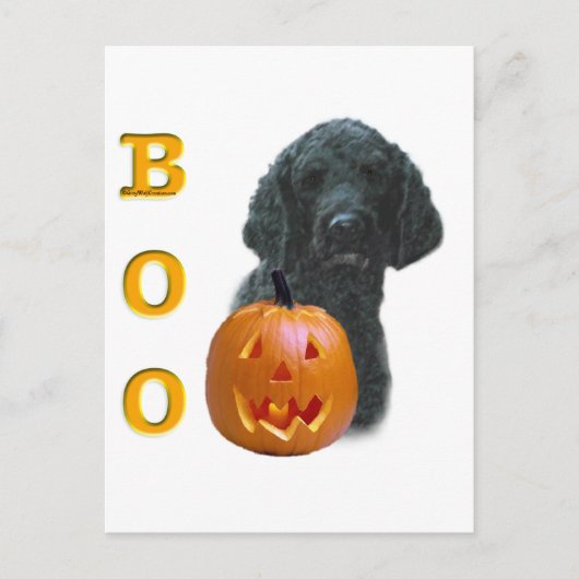 Poodle (schwarz überzogen) Boo Postkarte (Vorderseite)