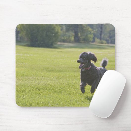 Poodle spielend Frisbee Mousepad (Mit Mouse)