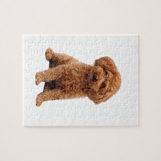 Poodle - Spielzeug (Aprikose) Puzzle (Horizontal)