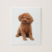 Poodle - Spielzeug (Aprikose) Puzzle (Vertikal)