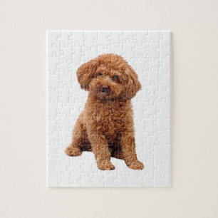 Poodle - Spielzeug (Aprikose) Puzzle