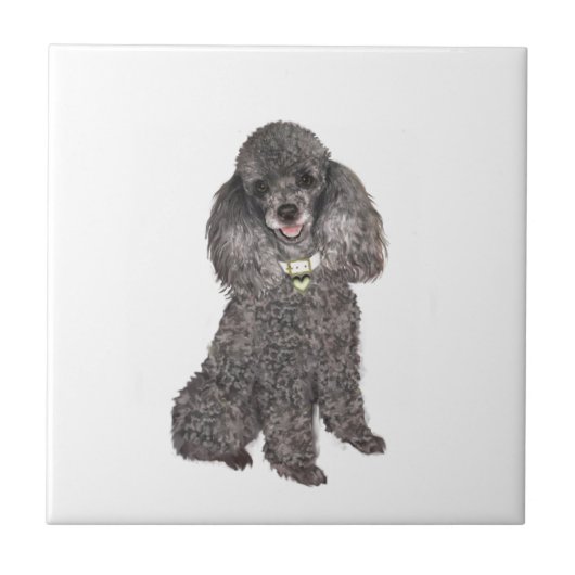 Poodle - Spielzeug/Miniatursilber Fliese (Vorderseite)