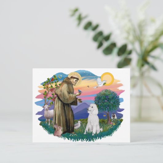Poodle (Standard White) Postkarte (Stehend Vorderseite)