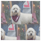 Poodle Stoff (Nahaufnahme)