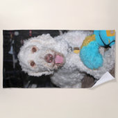 Poodle Strandtuch (Vorderseite)