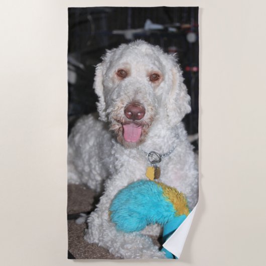 Poodle Strandtuch (Vorderseite)