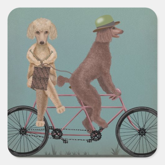 Poodle Tandem Quadratischer Aufkleber (Vorderseite)