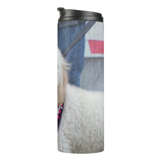 Poodle Thermosbecher (Nach rechts gedreht)
