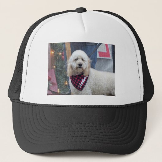 Poodle Truckerkappe (Vorderseite)