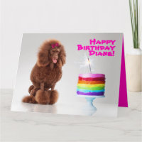 Poodle und Regenbogenkuchen zum Geburtstag mit Spa
