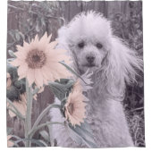 Poodle und Sonnenblumen Duschvorhang (Vorderseite)
