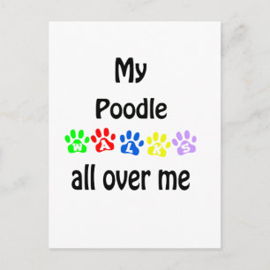 Poodle Walks Design Postkarte