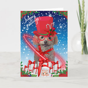 Poodle Weihnachten Grußkarte Karte