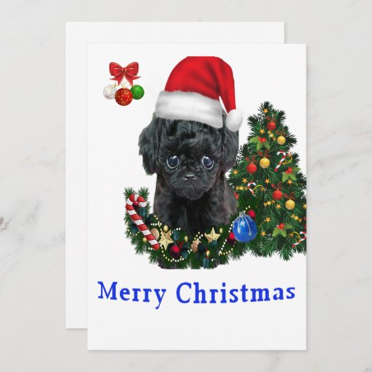 Poodle Weihnachtskarten Einladung (Vorne/Hinten)