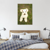 Poodle (weiß) leinwanddruck (Insitu (Schlafzimmer))