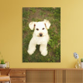 Poodle (weiß) leinwanddruck (Insitu (Wohnzimmer))